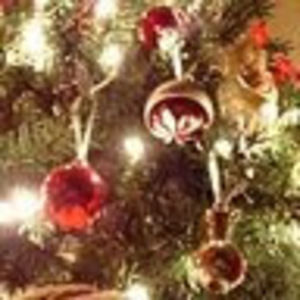 Meet your Posher, Anne